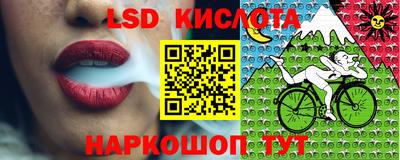 индика Заволжье