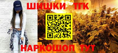 индика Заволжье