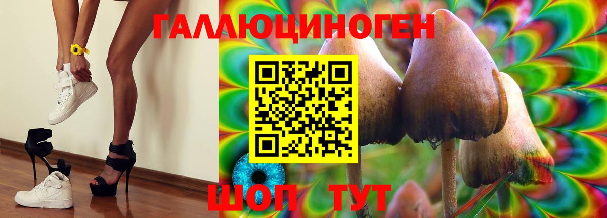 Псилоцибиновые грибы мицелий Кулебаки