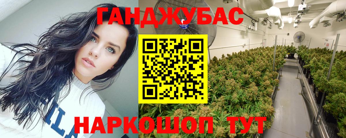 Кулебаки  Канабис Ganja  Марихуана сатива  Вход с VPN 